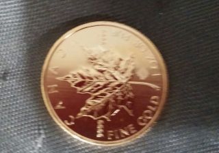 2013 1 Oz Gold Canadian Maple Leaf Coin photo