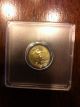 2003 5 Dollars 1/10oz American Eagle Gold Coin Gold photo 2