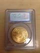 2005 Pcgs Ms69 First Strike $50 Gold American Eagle 1 Ounce Gold photo 1