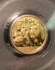2010 China Gold Panda Pcgs Ms 69 First Strike 50yn 1/10 Oz.  999 Fine Gold Coin Gold photo 1