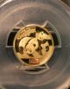 2008 China Gold Panda Pcgs Ms 67 50yn 1/10 Oz.  999 Fine Gold Coin Gold photo 1