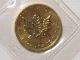 1983 Canadian Gold Maple Leaf - 1/4 Troy Ounce 9999 - $10 Canada Coin Quarter Oz Gold photo 1