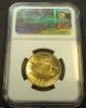 2009 Ultra High Relief $20 Saint Gaudens Double Eagle Gold Coin - Ngc Ms69 Gold photo 1