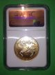 2007 Gold Eagle $50 One - Ounce Ms 70 Ngc 1 Oz Early Releases Gold photo 1