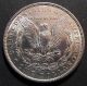 1889 - P Us Morgan Silver Dollar Brilliant Uncirculated Gold photo 1