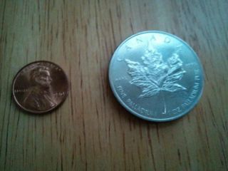 1 Oz Palladium Canadian Maple Leaf Coin Plus 1 Oz Silver American Eagle photo