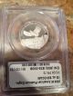 2000 $50 Platinum Eagle Pr70dcam Platinum photo 2