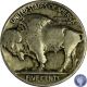 1919 P Buffalo Indian Nickel Rare Usa Coin Addnl Items Ship 724 Nickels photo 1