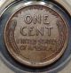 (inv.  13) Almost Unc.  Brown 1909 Vdb Lincoln Wheat Cent Cent Penny Small Cents photo 1
