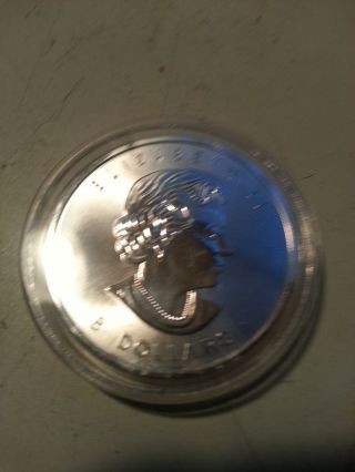 2015 Canadian $8 Silver Bison Coin 1.  25 (1 1/4) Troy Ounce.  9999 Silver Coin Bu photo