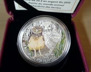 2015 Canada Burrowing Owl Colorized Silver Coin photo