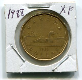 1988 Canada Loon Dollar - Extra Fine - Circulated - photo