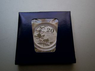 Canada 2011 $20 For $20 0.  9999 Pure Fine Silver Coin - Maple Leaf photo