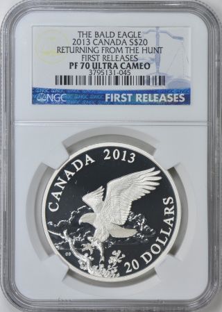 Canada 2013 S$20 The Bald Eagle The Hunt First Releases Ngc Proof - 70 Uc photo