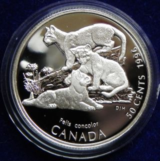 1996 Canada Silver Half Dollar Rare Baby Cougar Coin photo