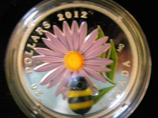 2012 Canada $20 Aster And Bumble Bee Coin W/ Murano Glass photo