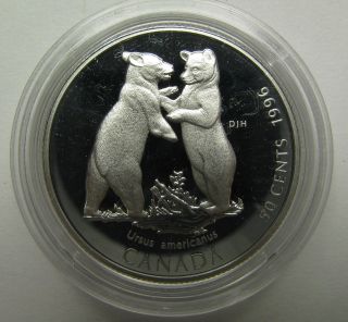 1996 Proof 50 Cents Little Wild Ones - Black Bear Cubs Canada Fifty Half Dollar photo