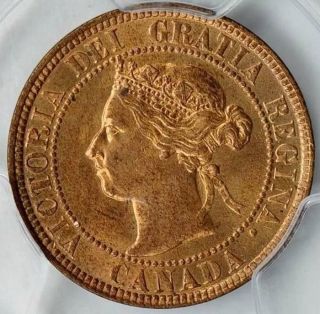 1901,  Canada Large Cent,  Queen Victoria,  Pcgs Ms 64 Rb,  Redbrown Color photo