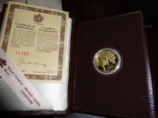 1995 $100 Dollar Gold Proof Canadian Coin With - 1/4 Oz Of Gold - Protective Box photo