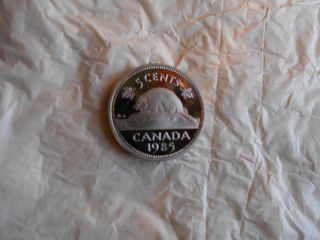 Gem 1985 Frosted Proof Nickel photo