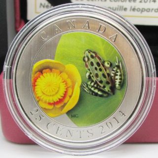2014 Canada 25 - Cent Coloured Coin - Water - Lily & Leopard Frog - By Rcm photo