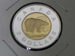 1998 Silver & Gold Proof Canadian Canada Polar Bear Toonie Two $2 Dollar photo