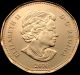 ◆◆circulation Loonie◆◆ 2010 $1 Inukshuk Olympics Lucky Dollar Coin - Unc 91.  5 Ni Coins: Canada photo 1
