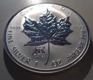 2004 Canada Silver Maple Leaf W/ Monkey Privy Mark,  Box & $5.  999 One Ounce photo