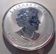 2004 Canada Silver Maple Leaf W/ Monkey Privy Mark,  Box & $5.  999 One Ounce Coins: Canada photo 2