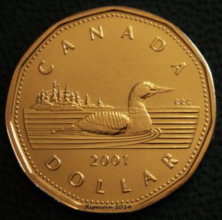 2001 Canadian Loonie - One Dollar Coin Bu/pl Not Minted For Circulation photo