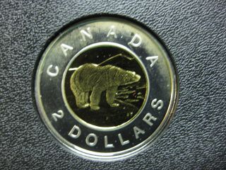 2005 Canadian Silver Proof Toonie ($2.  00) - Toned photo
