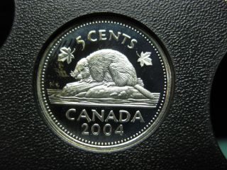 2004 Canadian Silver Proof Nickel ($0.  05) - Toned photo