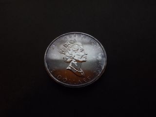 2001 1 Oz Canadian $5 Colored Silver Maple Leaf Coin photo