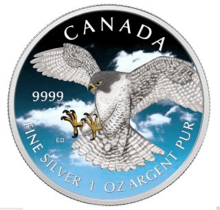 1 Oz Birds Of Prey 2014 - Peregrine Falcon Color Blue Canada Series.  9999 photo