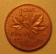 1965 Canada Small One Cent Variety Type 3 Lb B5 Circulated Coin Our 04 Coins: Canada photo 1