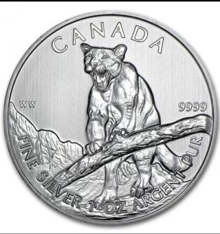 2012 1 Oz Silver Cougar Canadian Wildlife Series $5 Canada Coin.  Rcm In Capsule photo