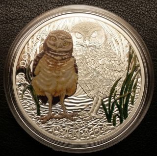 2015 Canada $20 Baby Animals: Burrowing Owl 1oz Fine Silver Coin W/box & photo
