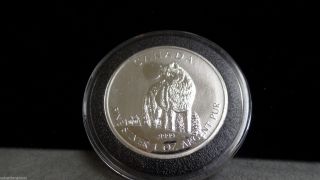 2011 Canada Wolf $5 Dollar 1 Oz.  999 Silver Coin photo