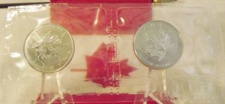 2005 $50.  = One Oz.  9995 Palladium Maple Leaf : Gem Brilliant Uncirculated 1 Oz photo