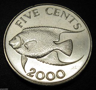 Bermuda 5 Cents Coin 2000 Km 108 Fish (a1) photo