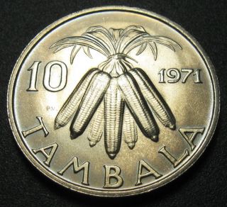 Malawi 10 Tambala Coin 1971 Km 10.  1 Corn Au, photo
