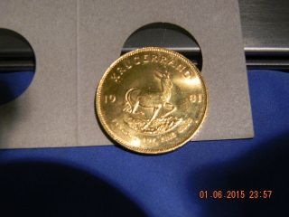 - 1981 South Africa Krugerrand - 1 Ounce Gold Coin - photo