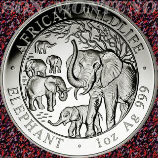 2008 Somalia African Wildlife Elephant 1 Troy Oz.  999 Silver Bu Coin In Capsule photo