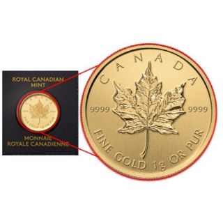 2014 1 Gram Canadian Gold Maplegram.  9999 Fine (, In Assay) photo