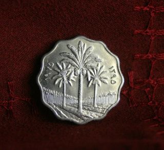 Iraq 10 Fils 1975 Unc World Coin Km126a Palm Trees Middle East photo
