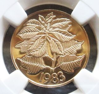 1983 Gold Panama 50 Balboas Christmas Poinsettia Coin Ngc Proof 69 Ultra Cameo photo