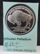 2004 Stillwater Lewis & Clark Buffalo 1/10 Oz.  999 Palladium Proof Bullion Coin Bullion photo 1