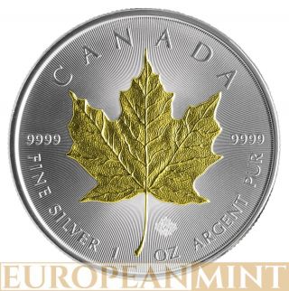 2014 1oz $5 Cad Canadian Silver Maple Leaf 24k Gold Gilded Coin photo
