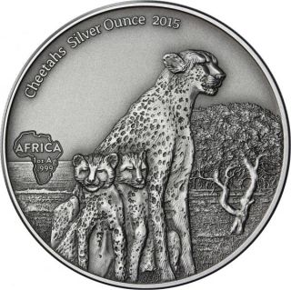 1000 Francs Gabon 2015 - Cheetahs - Antique Finish photo