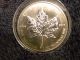 2005 Canada $50 1 Oz Palladium Maple Leaf Coin In Airtite,  Inaugural Year Bullion photo 2